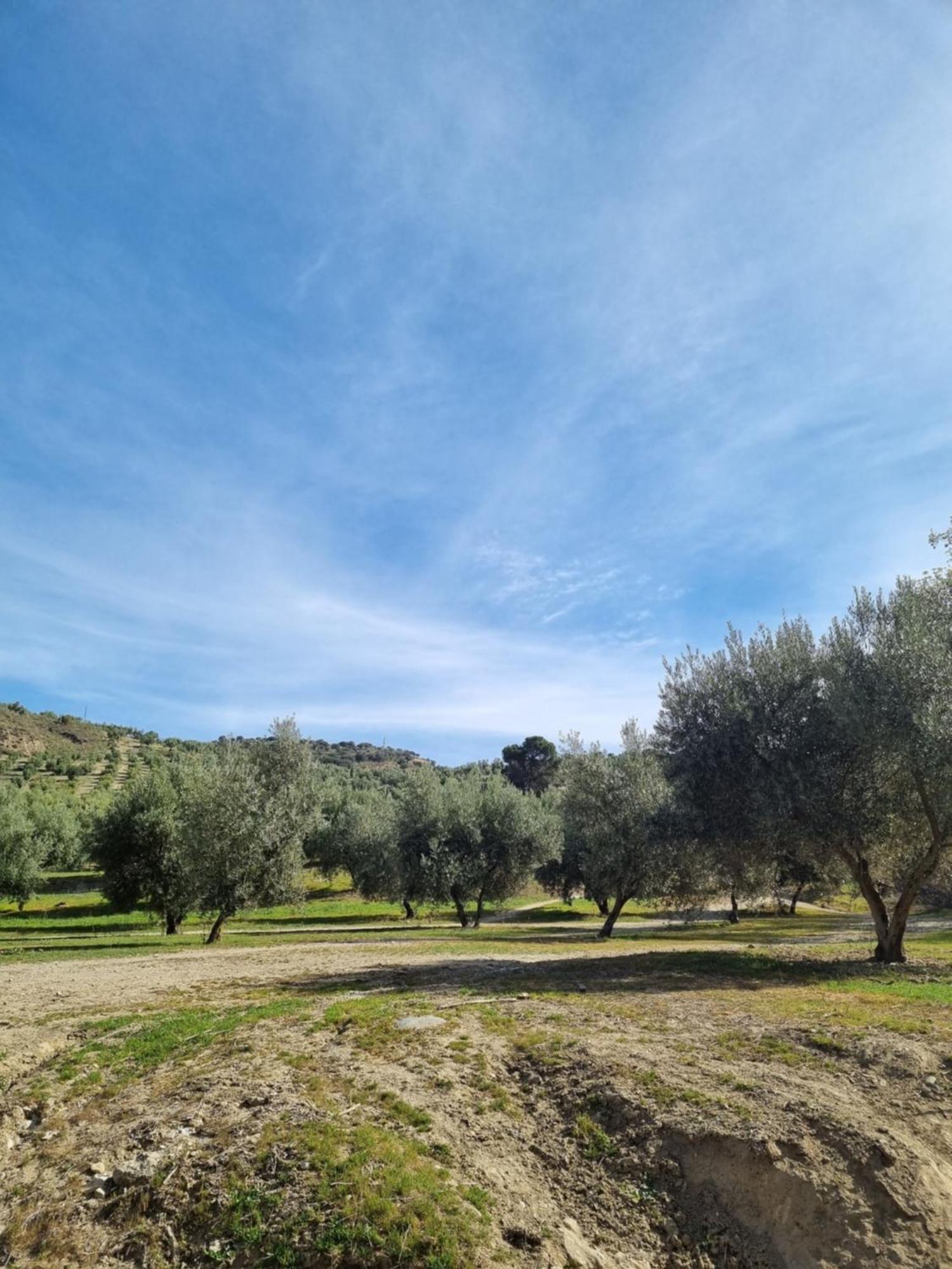 La Colina Ladyblue Apto Acogedor Cerca De Sierra Nevada Y Alhambra Cenes De La Vega Bagian luar foto