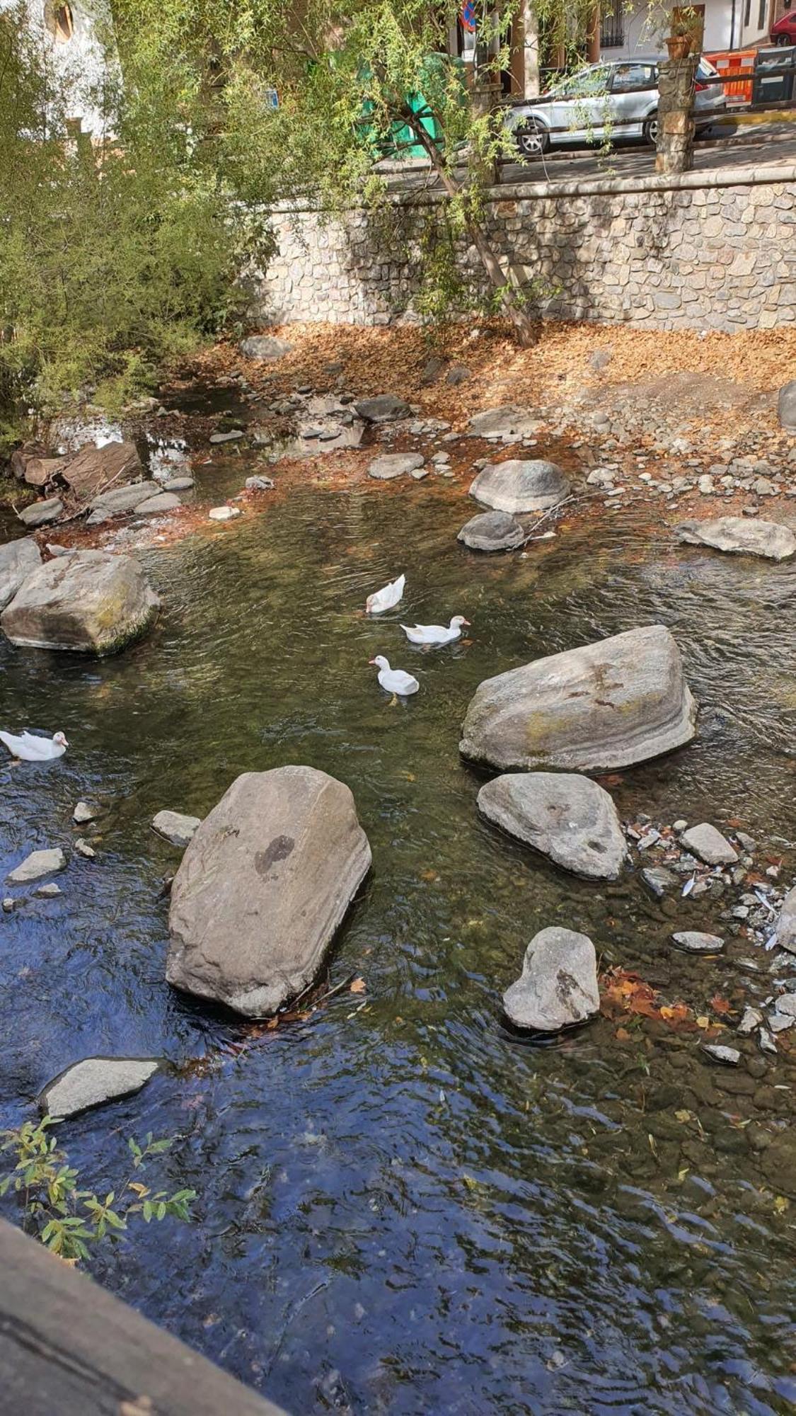 La Colina Ladyblue Apto Acogedor Cerca De Sierra Nevada Y Alhambra Cenes De La Vega Bagian luar foto